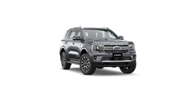 Everest Platinum